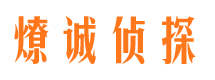 临泉市调查取证